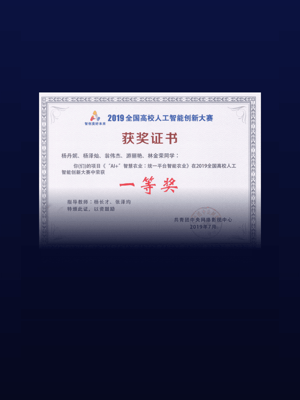全国高校人工智能创新大赛一等奖证书
